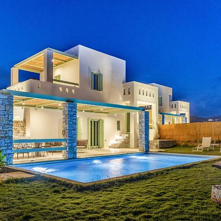 Plioni Villas & Suites 米科利维亚 外观 照片