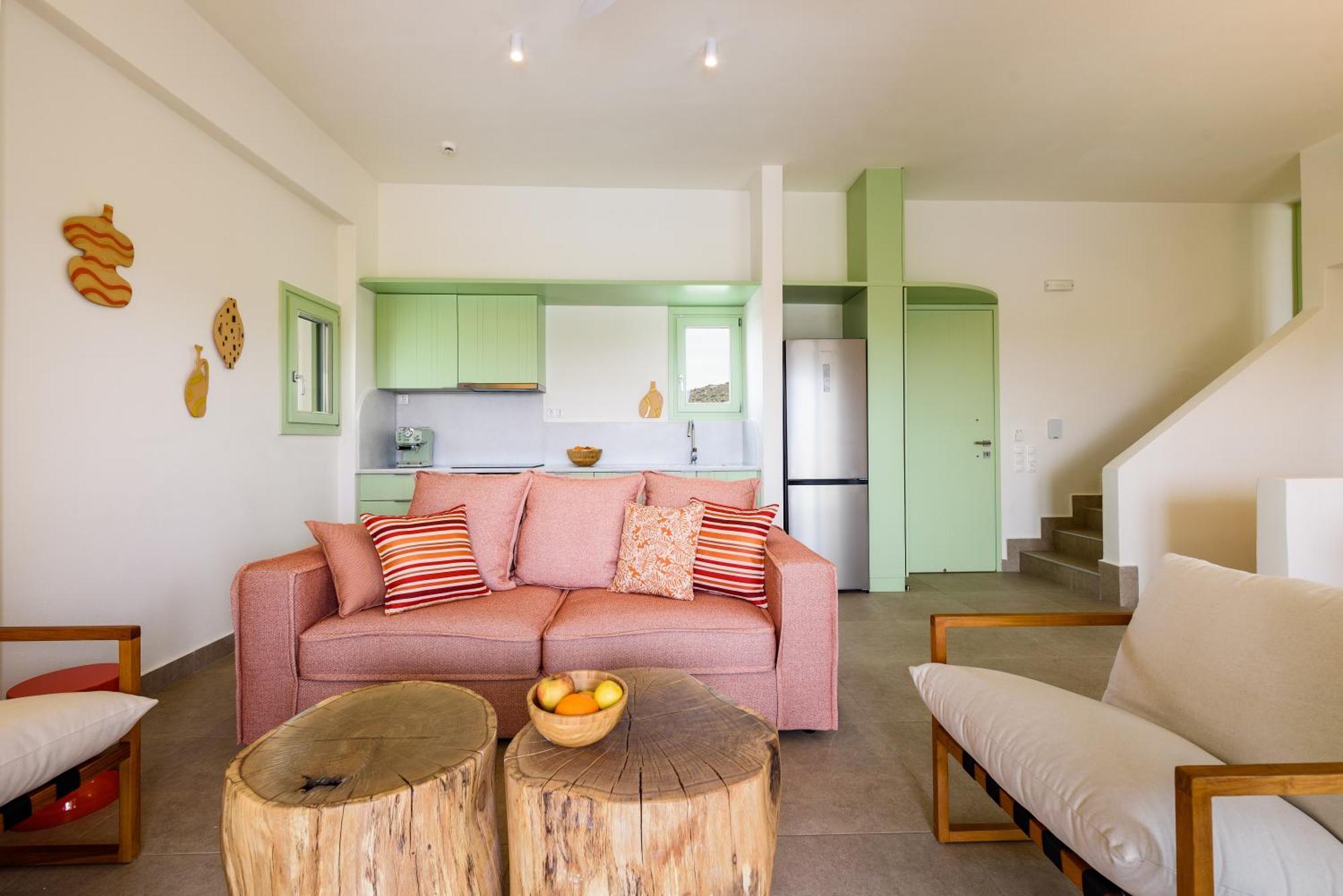 Plioni Villas & Suites 米科利维亚 外观 照片