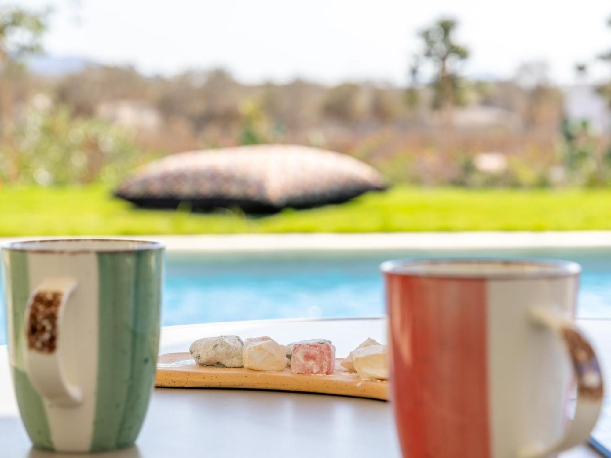 Plioni Villas & Suites 米科利维亚 外观 照片