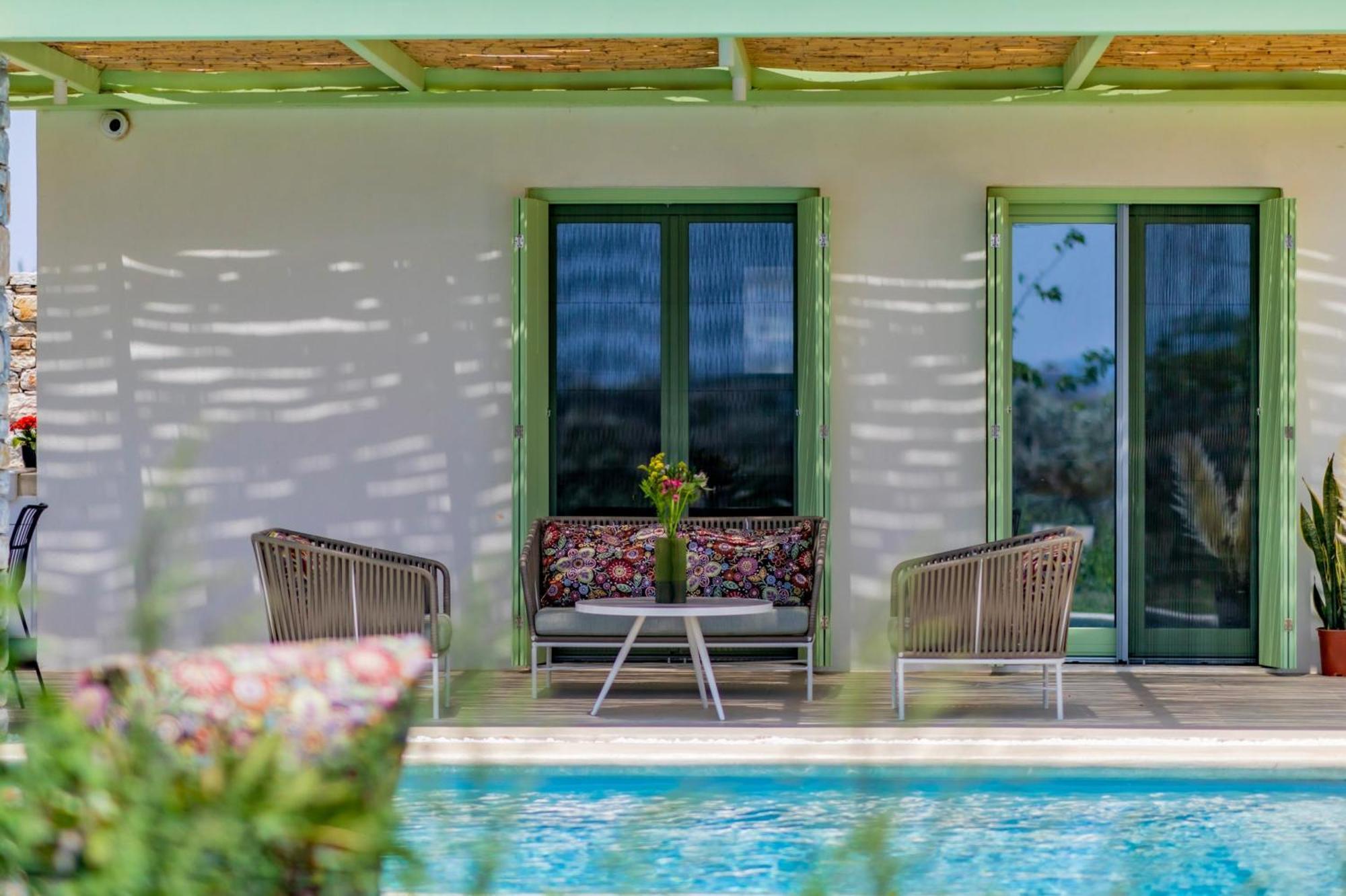 Plioni Villas & Suites 米科利维亚 外观 照片