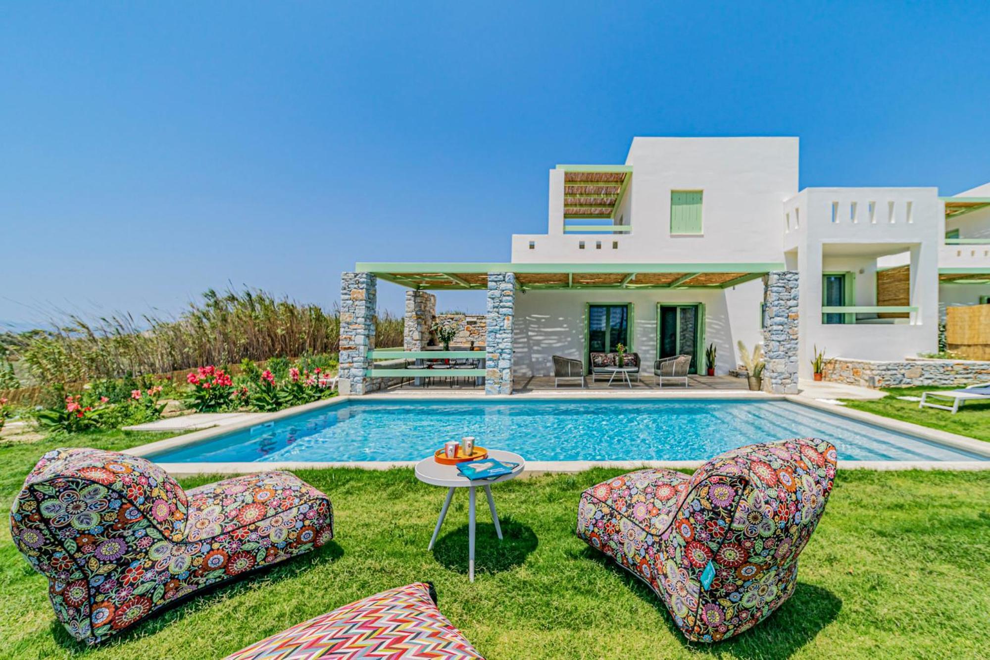 Plioni Villas & Suites 米科利维亚 外观 照片